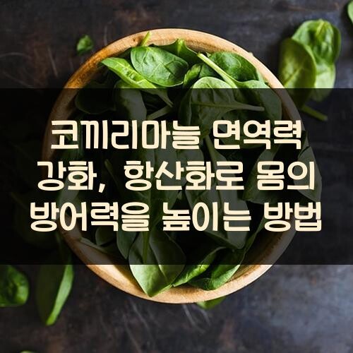 코끼리마늘 면역력 강화, 항산화로 몸의 방어력을 높이는 방법