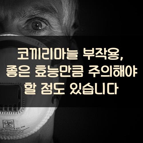 코끼리마늘 부작용, 좋은 효능만큼 주의해야 할 점도 있습니다