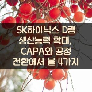 SK하이닉스 D램 생산능력 확대, CAPA와 공정 전환에서 볼 4가지 SK하이닉스 D램 생산능력 확대, CAPA와 공정 전환에서 볼 4가지