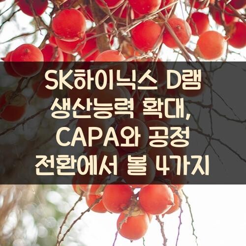 SK하이닉스 D램 생산능력 확대, CAPA와 공정 전환에서 볼 4가지