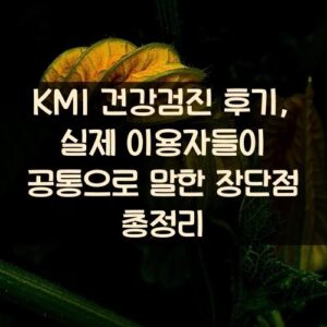 KMI 건강검진 후기, 실제 이용자들이 공통으로 말한 장단점 총정리