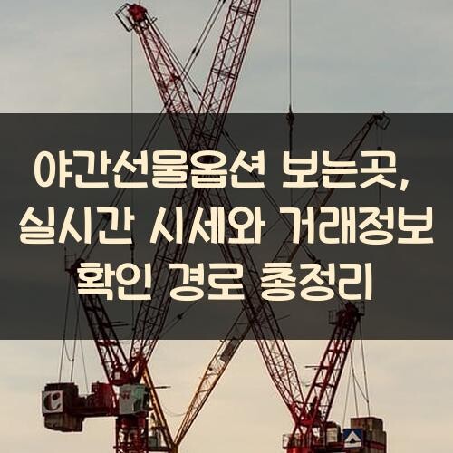 야간선물옵션 보는곳, 실시간 시세와 거래정보 확인 경로 총정리