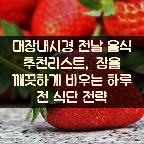 대장내시경 전날 음식 추천리스트, 장을 깨끗하게 비우는 하루 전 식단 전략