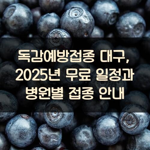 독감예방접종 대구, 2025년 무료 일정과 병원별 접종 안내