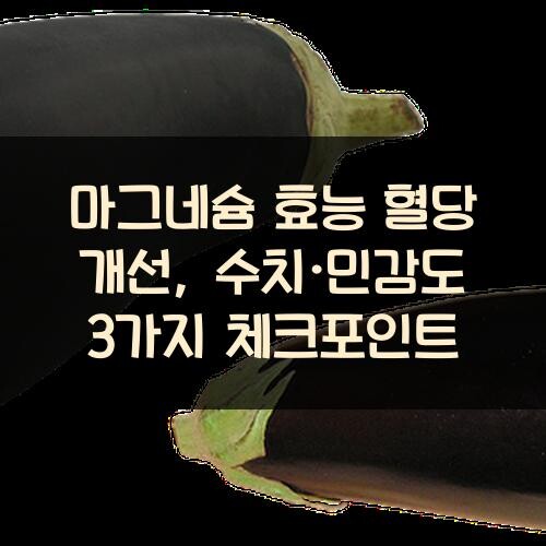 마그네슘 효능 혈당 개선, 수치·민감도 3가지 체크포인트