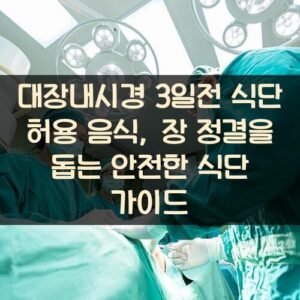대장내시경 3일전 식단 허용 음식, 장 정결을 돕는 안전한 식단 가이드