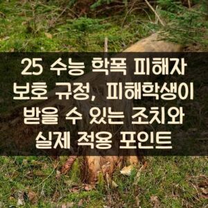 25 수능 학폭 피해자 보호 규정, 피해학생이 받을 수 있는 조치와 실제 적용 포인트