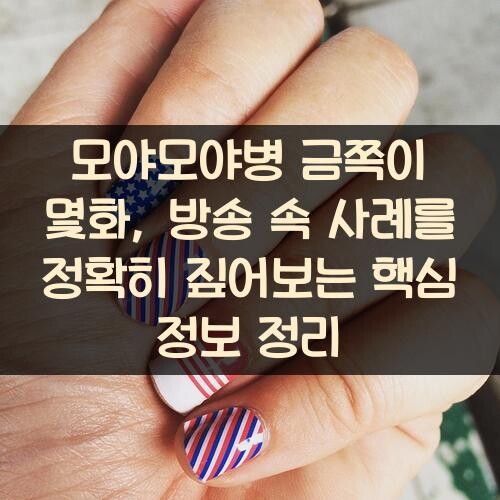 모야모야병 금쪽이 몇화, 방송 속 사례를 정확히 짚어보는 핵심 정보 정리