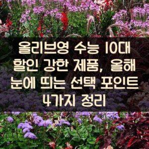 올리브영 수능 10대 할인 강한 제품, 올해 눈에 띄는 선택 포인트 4가지 정리