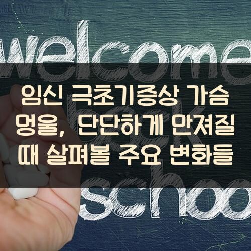 임신 극초기증상 가슴 멍울, 단단하게 만져질 때 살펴볼 주요 변화들