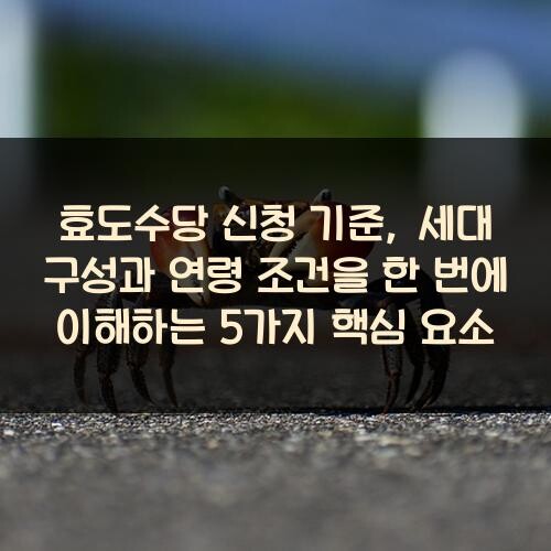 효도수당 신청 기준, 세대 구성과 연령 조건을 한 번에 이해하는 5가지 핵심 요소