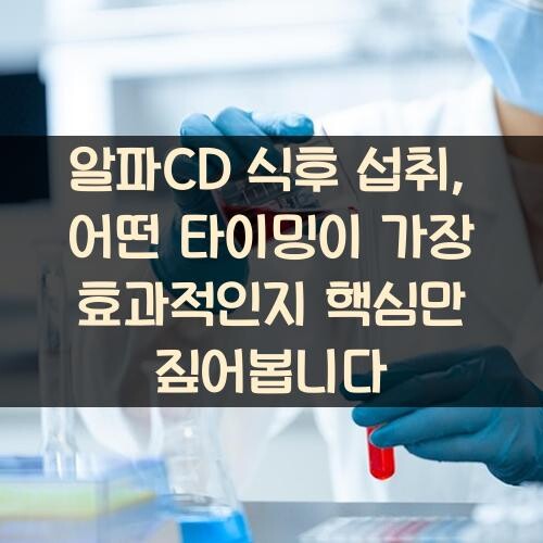 알파CD 식후 섭취, 어떤 타이밍이 가장 효과적인지 핵심만 짚어봅니다