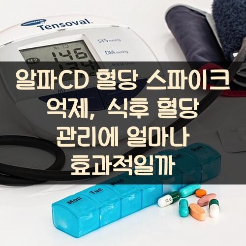 알파CD 혈당 스파이크 억제, 식후 혈당 관리에 얼마나 효과적일까?