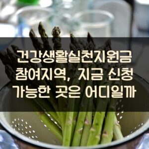 건강생활실천지원금 참여지역, 지금 신청 가능한 곳은 어디일까