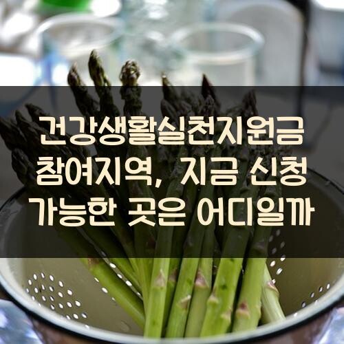 건강생활실천지원금 참여지역, 지금 신청 가능한 곳은 어디일까