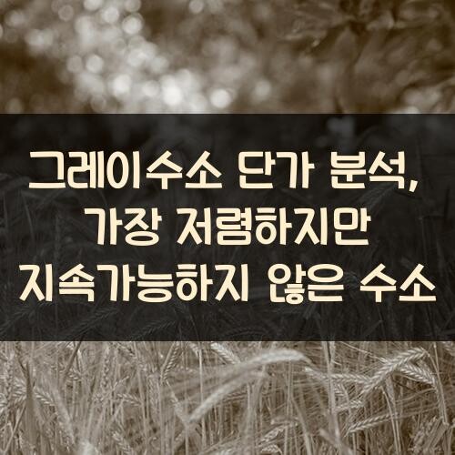 그레이수소 단가 분석, 가장 저렴하지만 지속가능하지 않은 수소