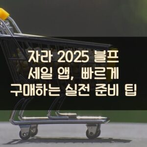 자라 2025 블프 세일 앱, 빠르게 구매하는 실전 준비 팁