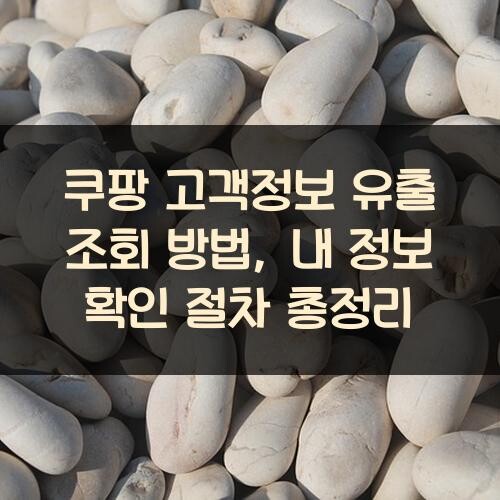 쿠팡 고객정보 유출 조회 방법, 내 정보 확인 절차 총정리