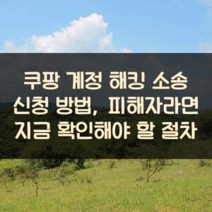쿠팡 계정 해킹 소송 신청 방법, 피해자라면 지금 확인해야 할 절차