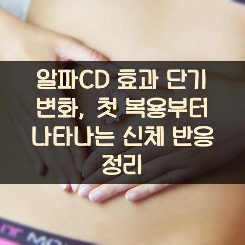 알파CD 효과 단기 변화, 첫 복용부터 나타나는 신체 반응 정리