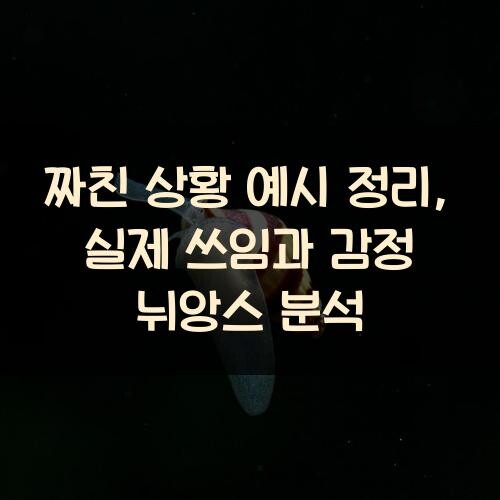 짜친 상황 예시 정리, 실제 쓰임과 감정 뉘앙스 분석