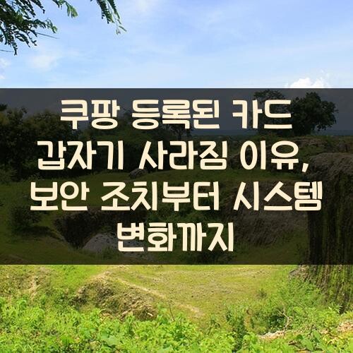 쿠팡 등록된 카드 갑자기 사라짐 이유, 보안 조치부터 시스템 변화까지