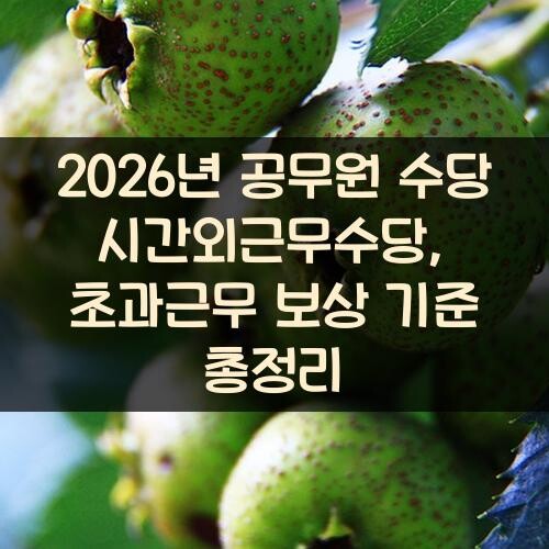 2026년 공무원 수당 시간외근무수당, 초과근무 보상 기준 총정리
