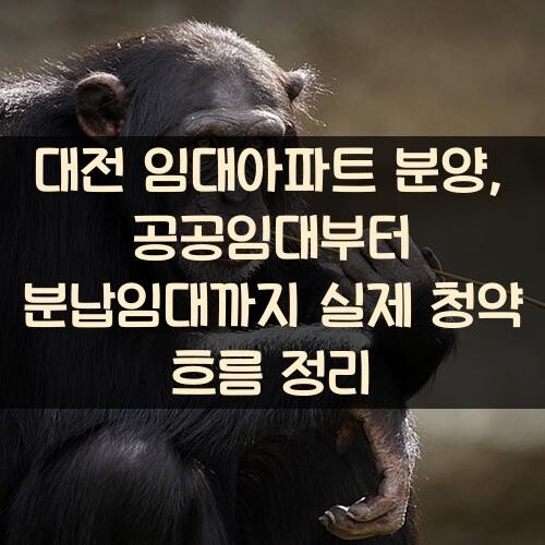 대전 임대아파트 분양, 공공임대부터 분납임대까지 실제 청약 흐름 정리