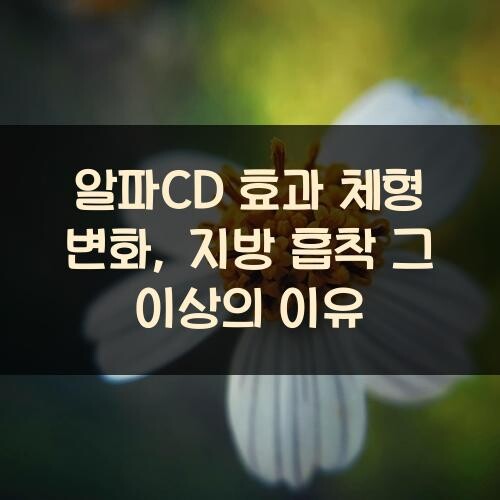 알파CD 효과 체형 변화, 지방 흡착 그 이상의 이유