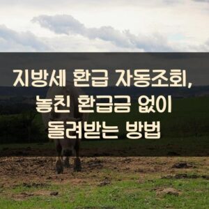 지방세 환급 자동조회, 놓친 환급금 없이 돌려받는 방법