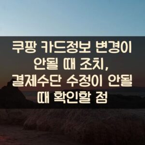 쿠팡 카드정보 변경이 안될 때 조치, 결제수단 수정이 안될 때 확인할 점