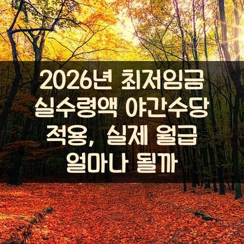 2026년 최저임금 실수령액 야간수당 적용, 실제 월급 얼마나 될까?