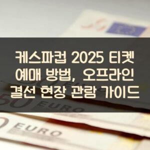 케스파컵 2025 티켓 예매 방법, 오프라인 결선 현장 관람 가이드